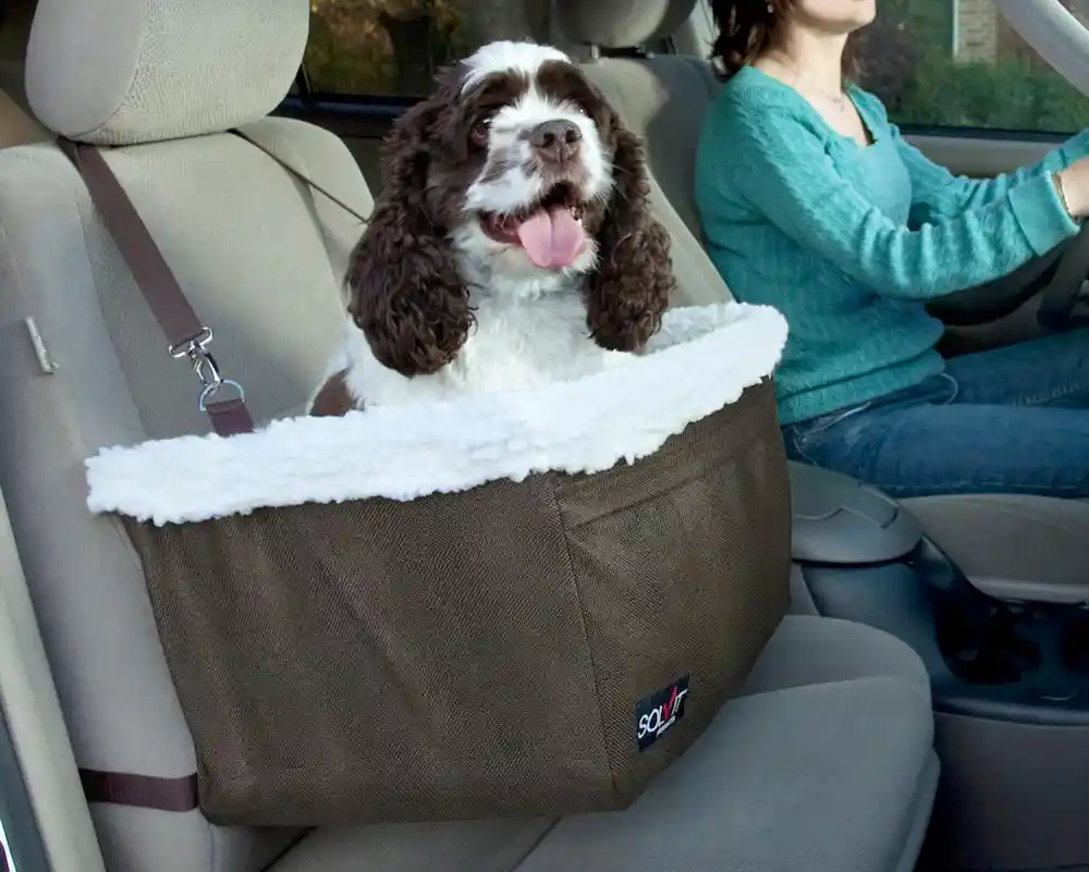 Solvit Tagalong Booster Seat Standard X-large