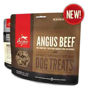 Orijen Black Angus Beef Freeze Dried Treat 2 Oz