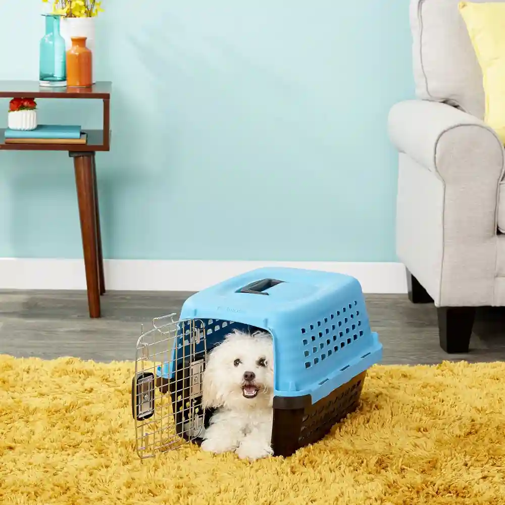 Compass Fashion Kennel, Blue Small