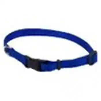 Adjustable Dog Collar With Plastic Buckle, Blue, 3/8" X 8"-12"