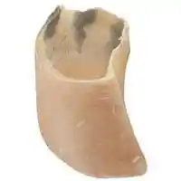 Smokehouse Beef Hooves Bulk Shelf Box 45 Ct