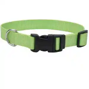 Adjustable Dog Collar With Plastic Buckle, Lime, 5/8" X 10"-14"