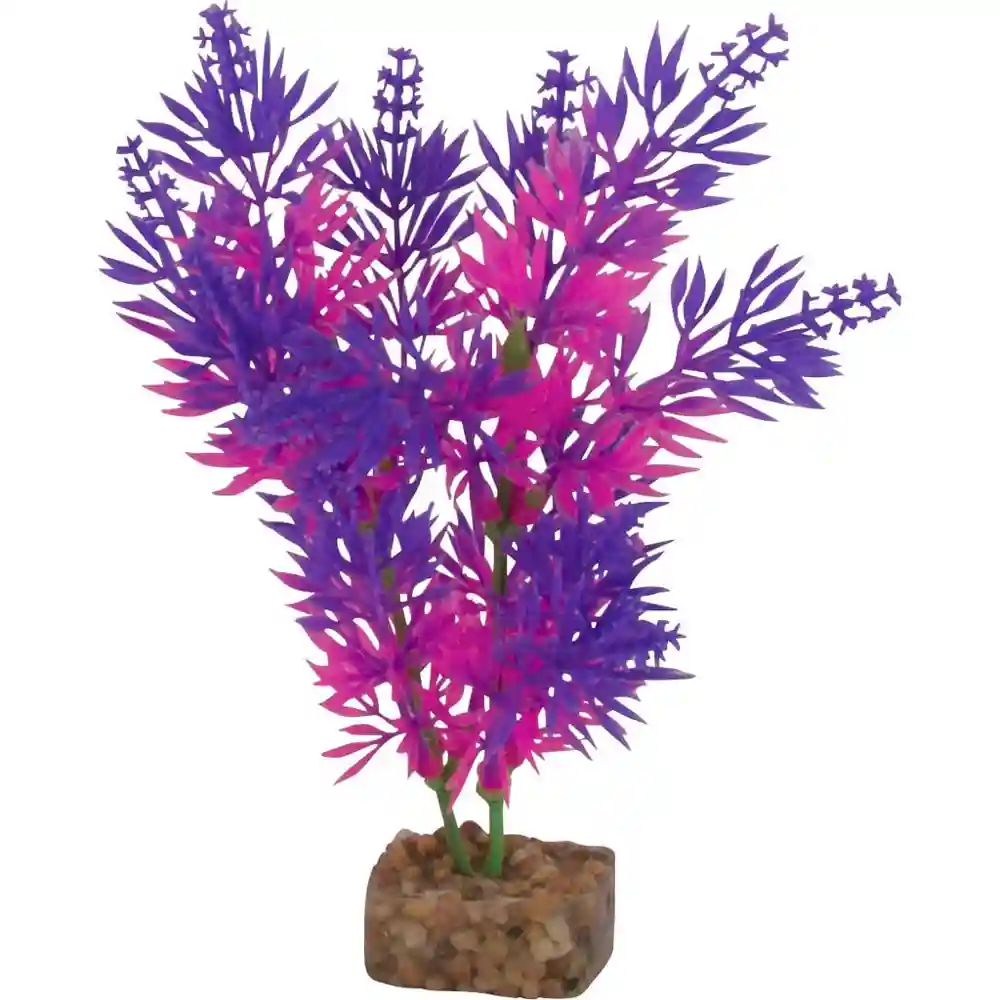 Tet Plnt Glofish Flo Pr/pk Md;