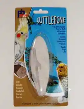 Cuttlebone Small 4-5' Simple