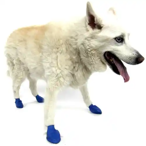 Waterproof Dog Boots, Blue, 12 Count Medium