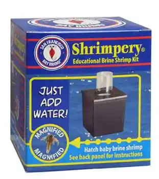 Brine Shrimp Shrimpery