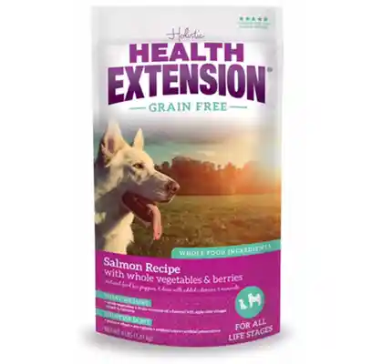 Grain Free Salmon Recipe Dry Dog Food 23.5-lb