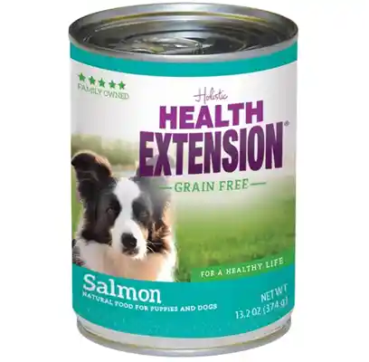 Holistic Grain Free 95% Salmon Canned Dog Food 12-oz