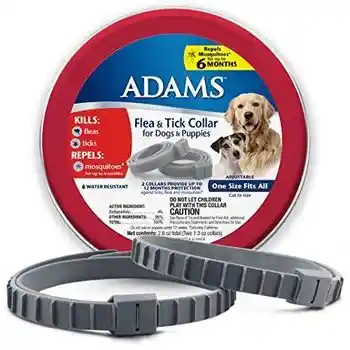 Adams+ F&t Collar Dog 26;