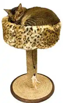 DISC WARE Wildcat Scratch-n-sleep