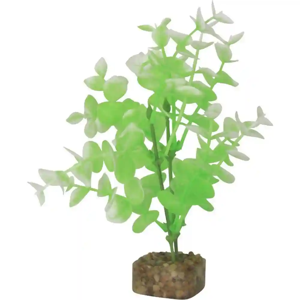 Tet Plnt Glofish Flo Gn/wh Md;