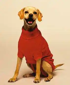 Classic Cable Dog Sweater Red Small