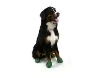 Waterproof Dog Boots, Dark Green, 12 Count X-large