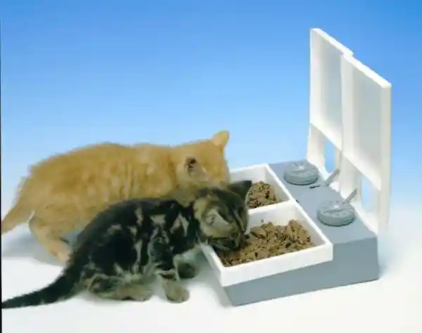 Animate Feeder 2 Bowl Automatic