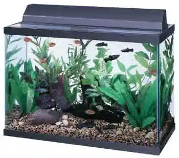 DISC Deluxe Full Fluorescent Hood Black 24"