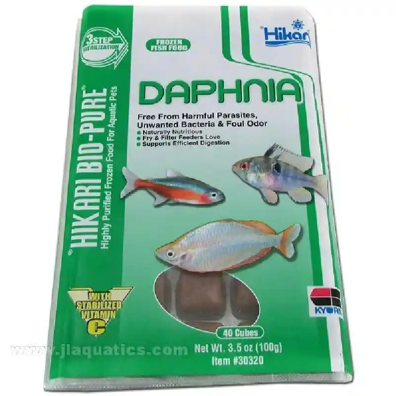 Hikari Frozen Daphnia Cube 3.5oz