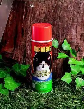 Repellent Spray Cat & Kitten 6 Oz