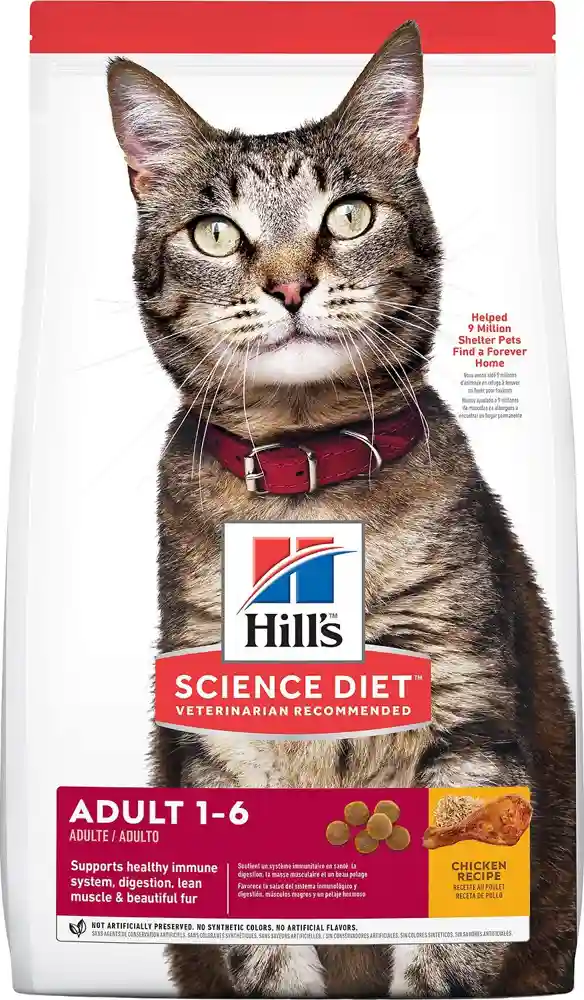 Adult Chicken Recipe Dry Cat Food 3.5-lb