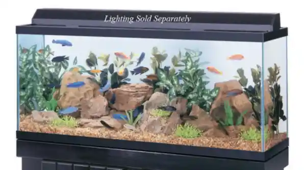 55 Gallon Black Trim Aquarium 48"x13"x20"