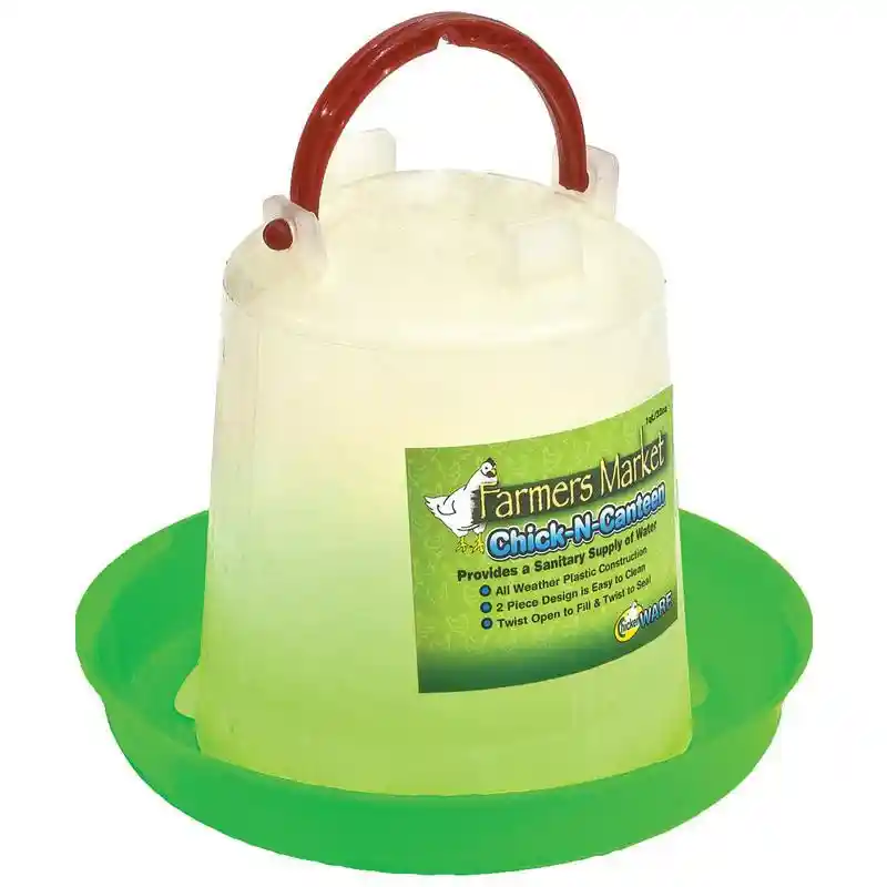WARE Chick N Canteen Large