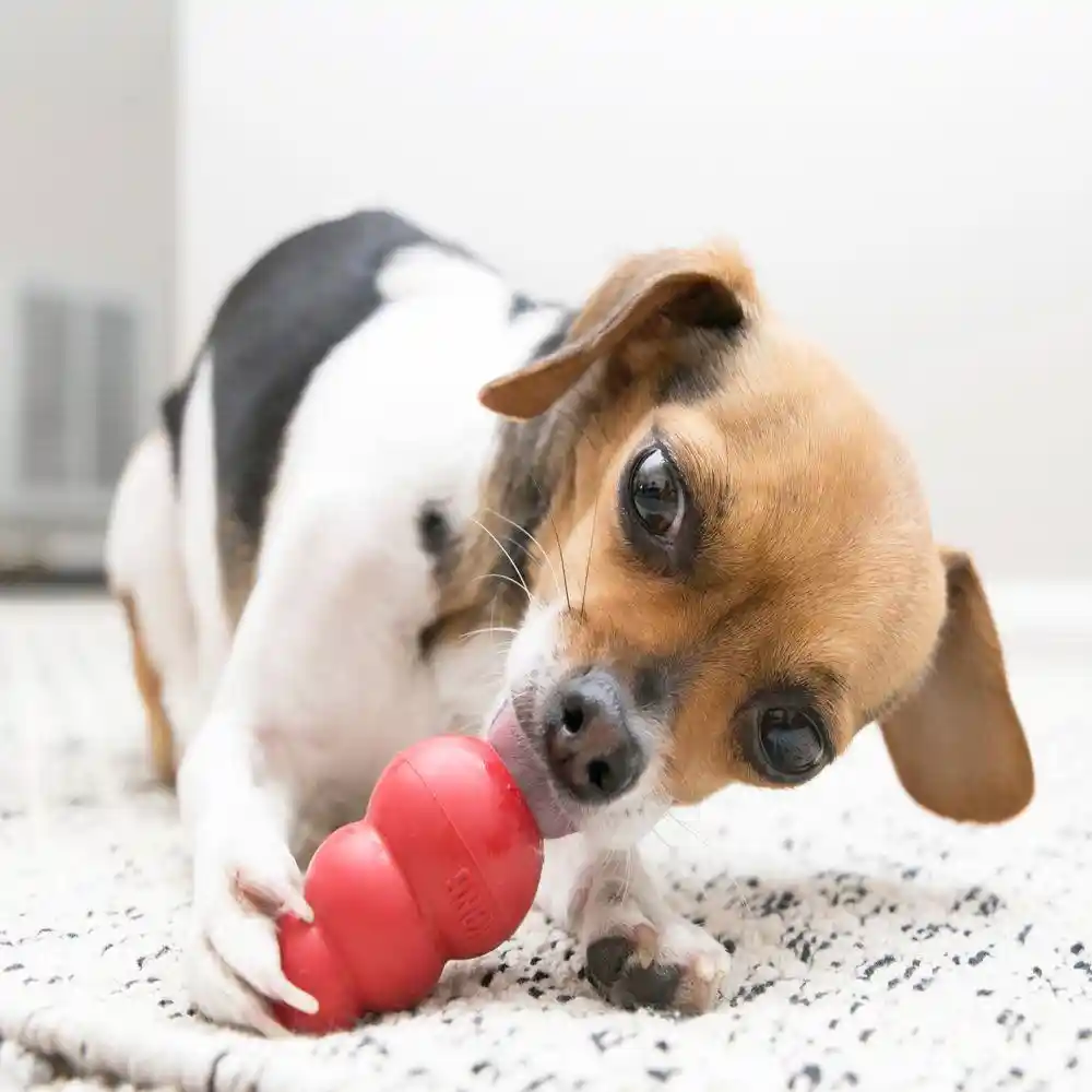 Classic Dog Toy X-small