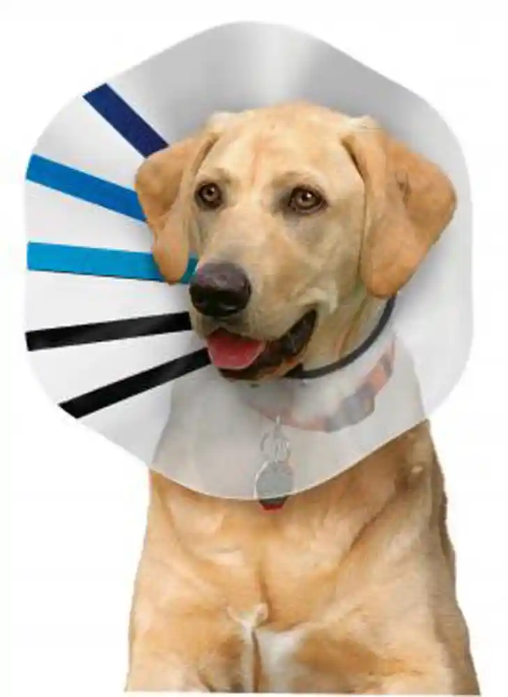Kong E-collar Extra Large Assorted