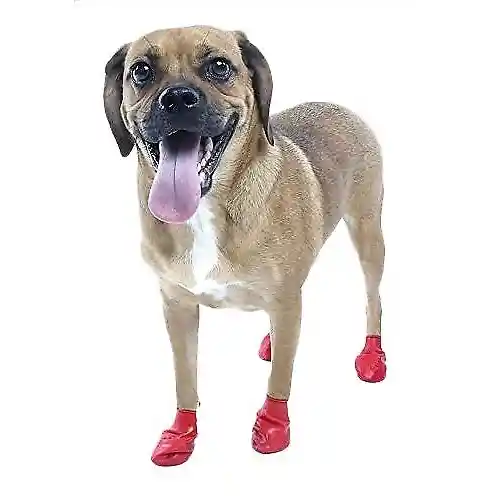 Waterproof Dog Boots, Red, 12 Count Small