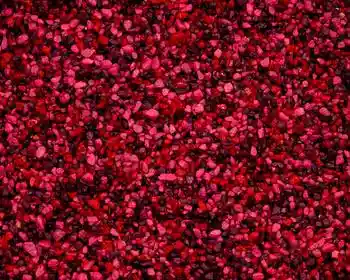 Estes Berry Lake Gravel 5 Lbs