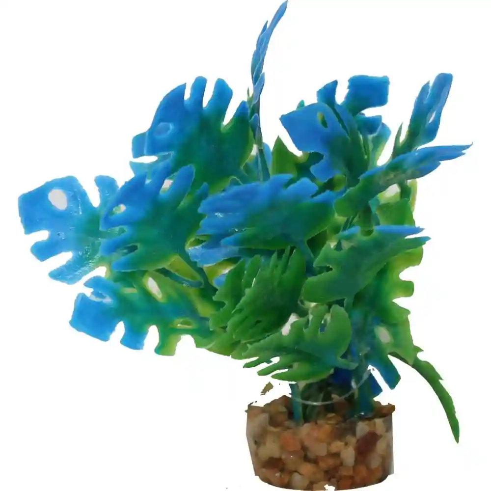 Ble Plnt Philo Leaf Bl