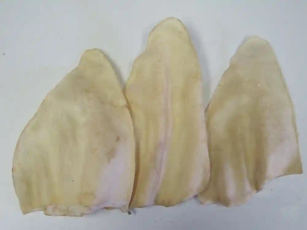 Peanut Butter Cow Ears 50 Ct