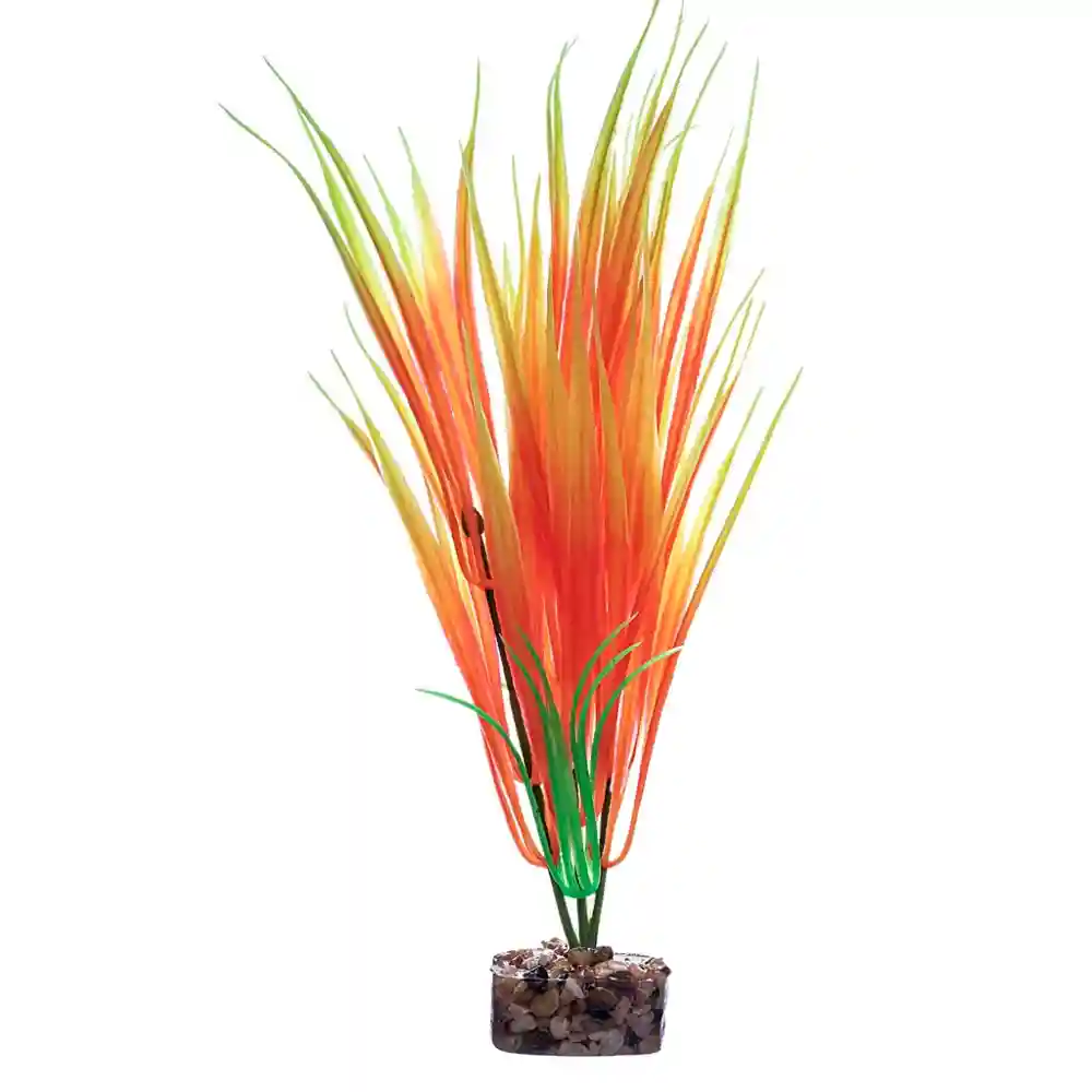 Tet Plnt Glofish Flo Or/yl Md;