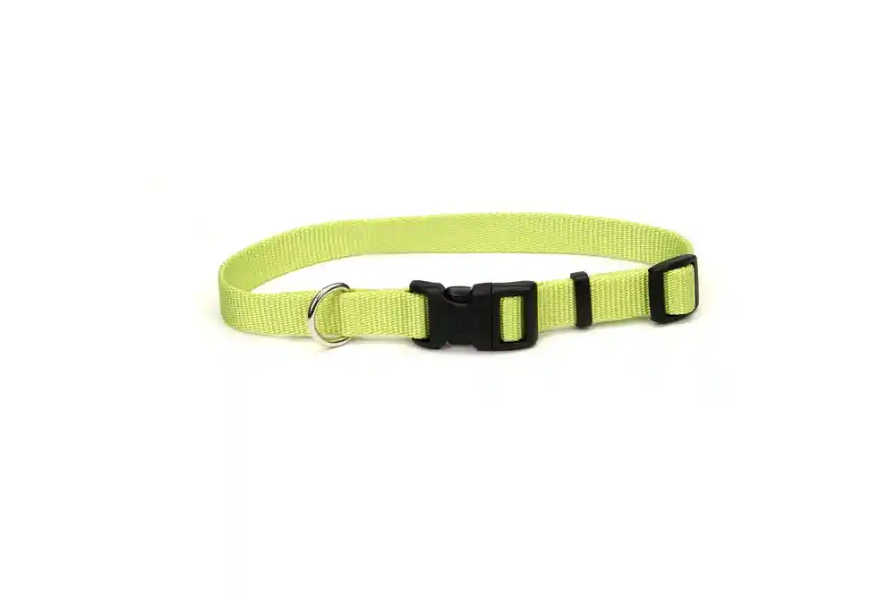 Adjustable Dog Collar With Plastic Buckle, Lime, 3/4" X 14"-20"