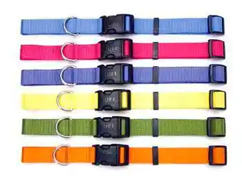 Adjustable Dog Collar With Plastic Buckle, Blue Lagoon, 1" X 18" - 26"