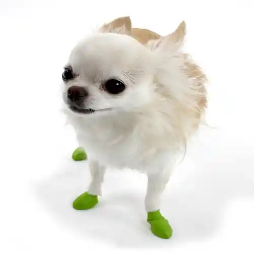 Waterproof Dog Boots, Light Green, 12 Count Tiny