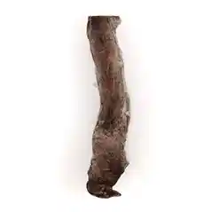 Raw Bar Freeze-dried Bully Stick Treat For Dogs 1 Stick