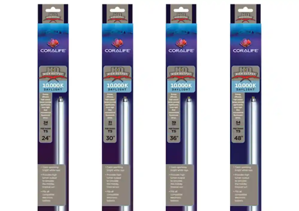 Coralife T5 High Output 39 Watt 10k Lamp 36 Inch