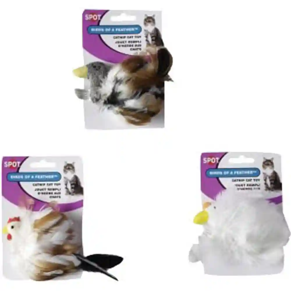 Spot Feather Birds Assorted