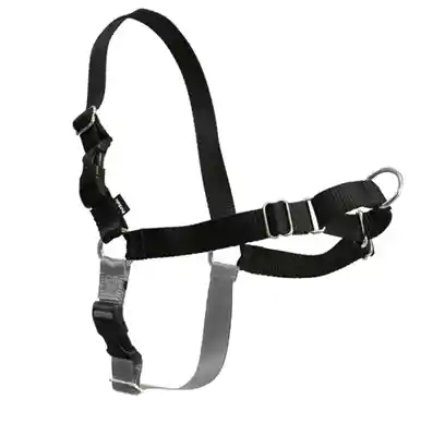 Easy Walk Harness, No Pull Dog Harness Medium Black