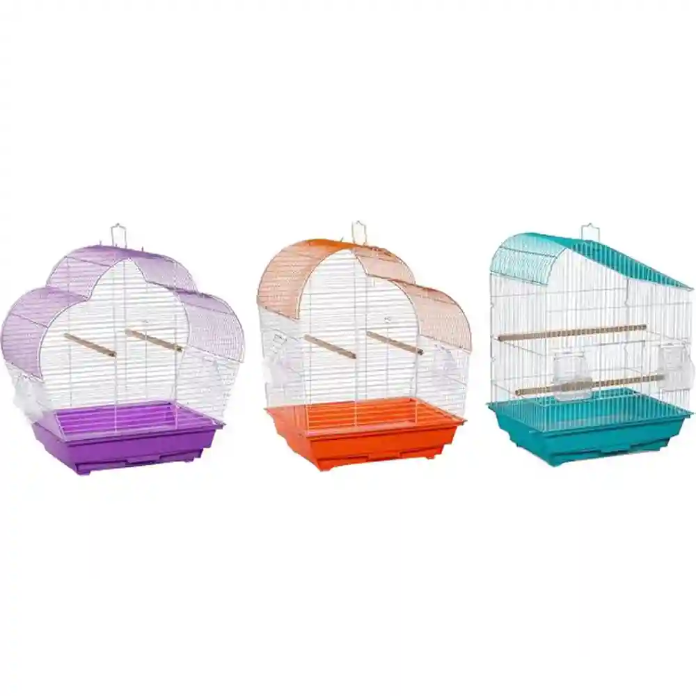 Palm Beach Budgie Collection Assorted 3 Pack