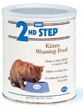 Kitten Wearing Formula 14 Oz