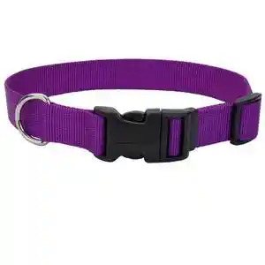 Adjustable Dog Collar With Plastic Buckle, Purple, 3/4" X 14"-20"