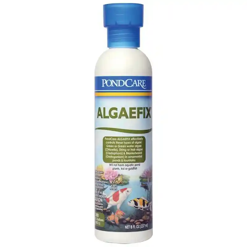 Aph Pond Algae Fix 8 Oz
