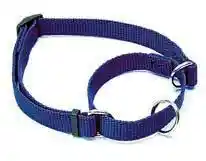 Martingale Adjustable Dog Collar, Red, 5/8" X 10"-14"