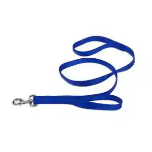 Double Handle Dog Leash, Blue, 1" X 06'