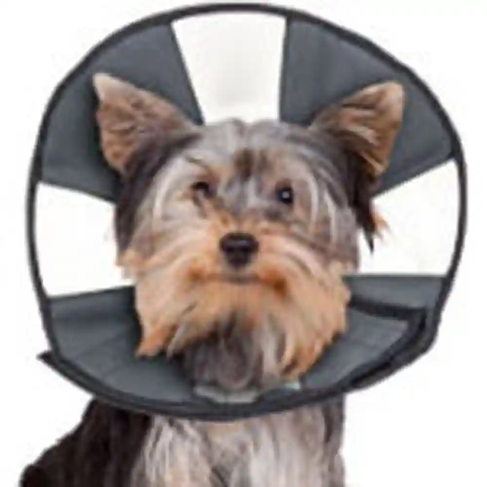 Zenpet Soft Recovery Collar Small