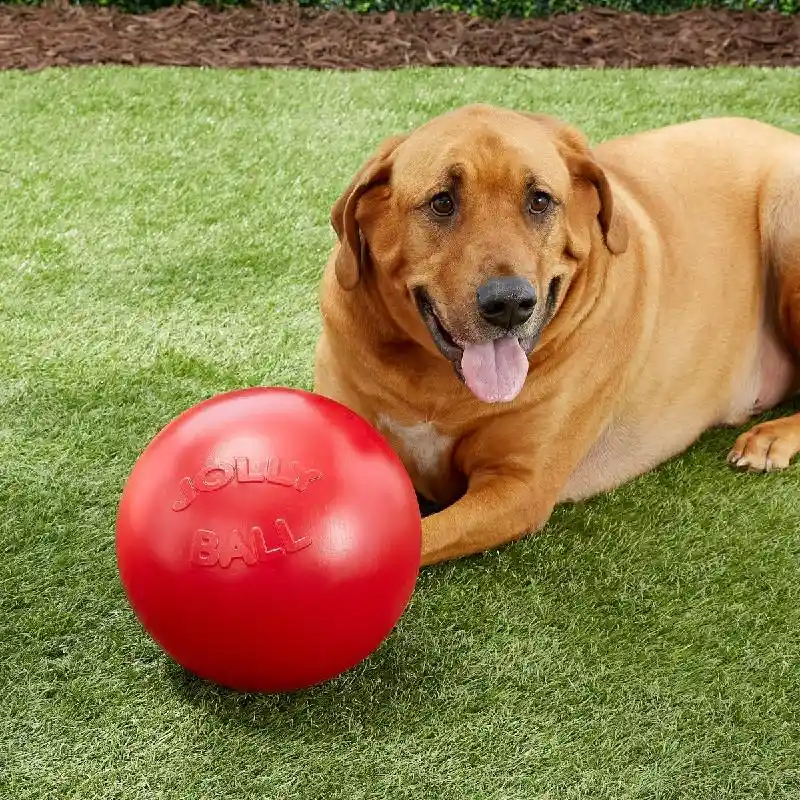 Jolly Ball Push-n-Play Ball Red 10"