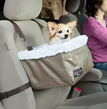Solvit Tagalong Booster Seat Medium/standard