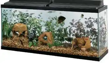 55 Gallon Black Trim Aquarium 48"x13"x20"
