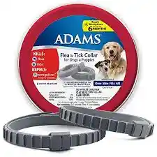 Adams+ F&t Collar Dog 26;