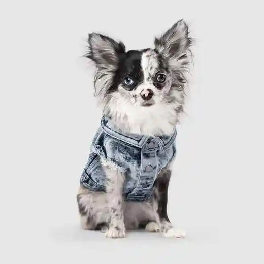 Downtown Denim Jacket 14"